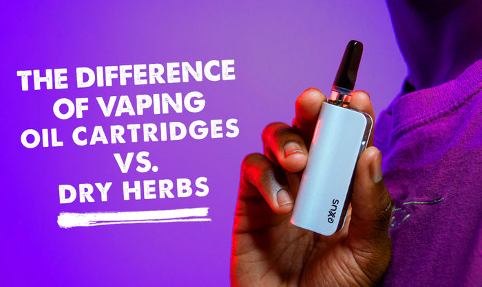 The Difference of Vaping Oil Cartridges vs. Dry Herbs