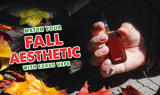 Combina tu estética otoñal con Exxus Vape