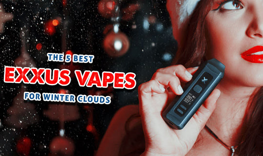 Los 5 mejores vaporizadores Exxus para las nubes invernales
