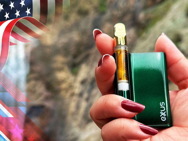 Woman holding Exxus Palm Pro in front of park background with US flags nearby